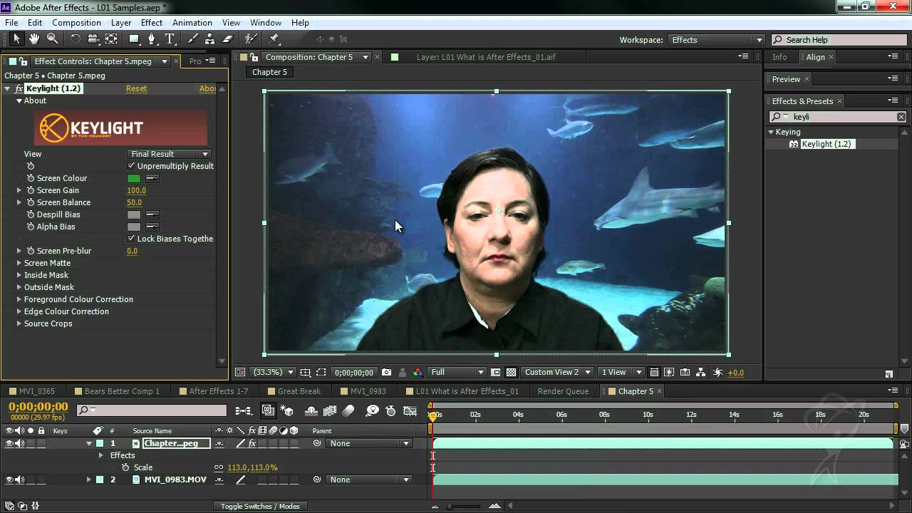 Adobe after effect cs6 with keys for windows free download