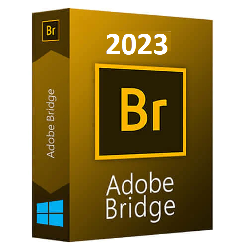 Download bridge for windows free download