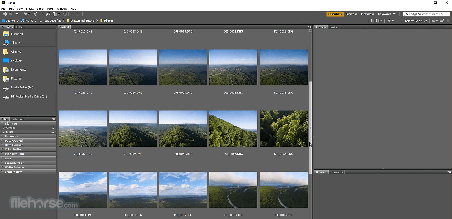 Download adobe bridge 2023 for windows free download full version